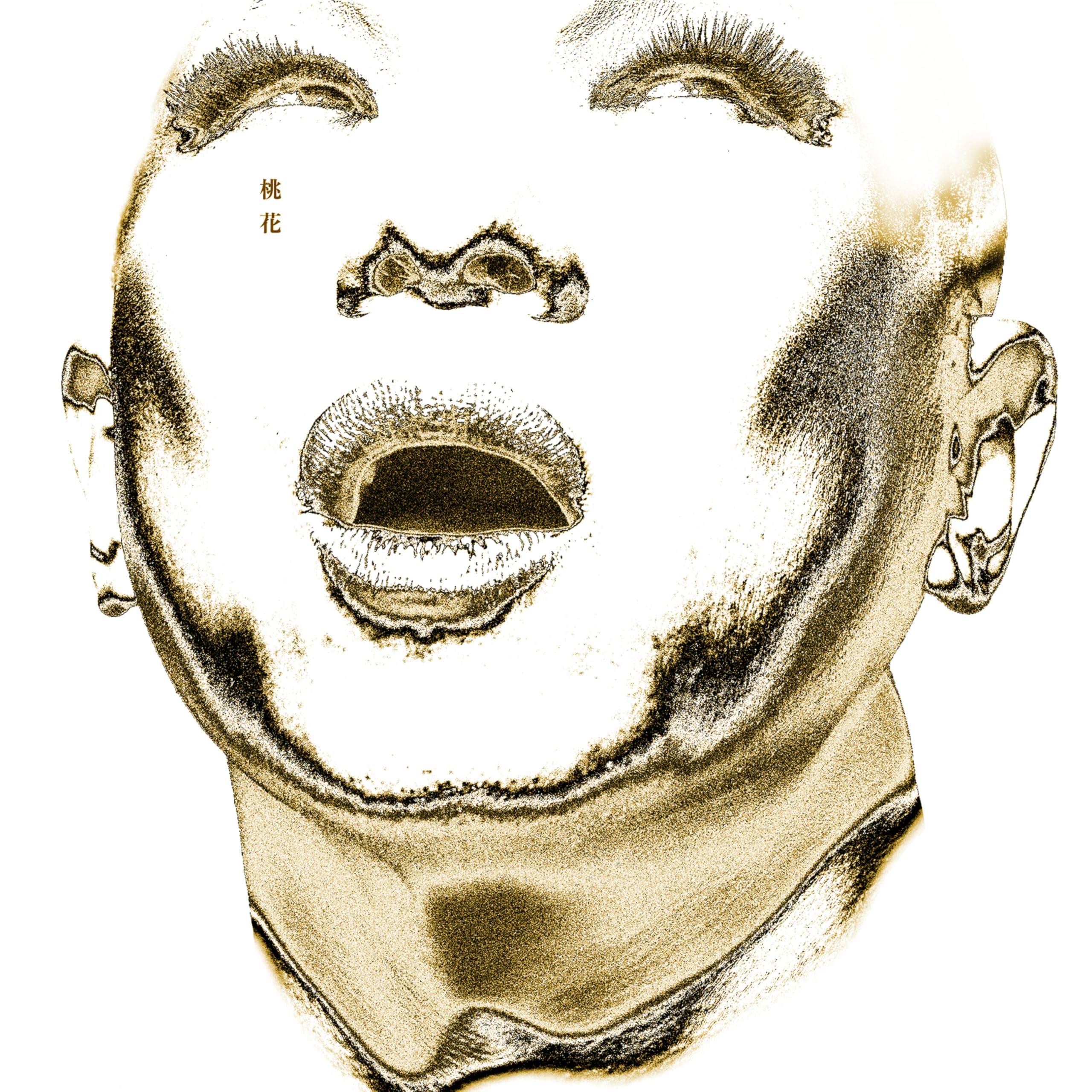 Image Cover